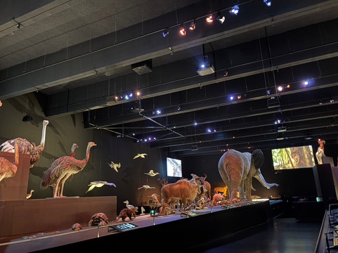Naturalis Biodiversity Center-莱顿必去景点