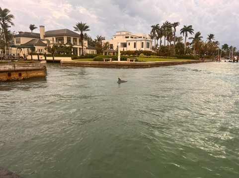 Sip N' Slip Tours-萨拉索塔必去景点