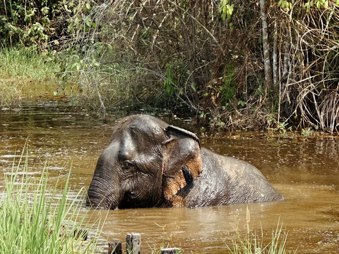 Cambodia Wildlife Sanctuary-暹粒必去景点