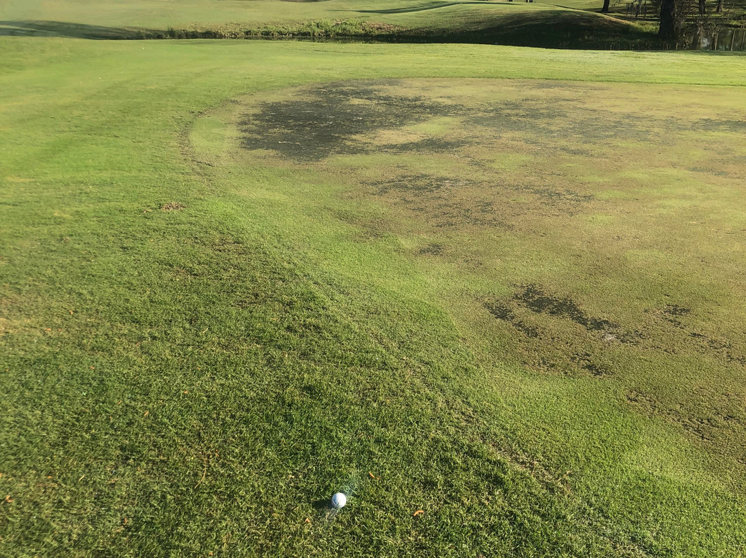 Cypresswood Golf Club-斯普林必去景点