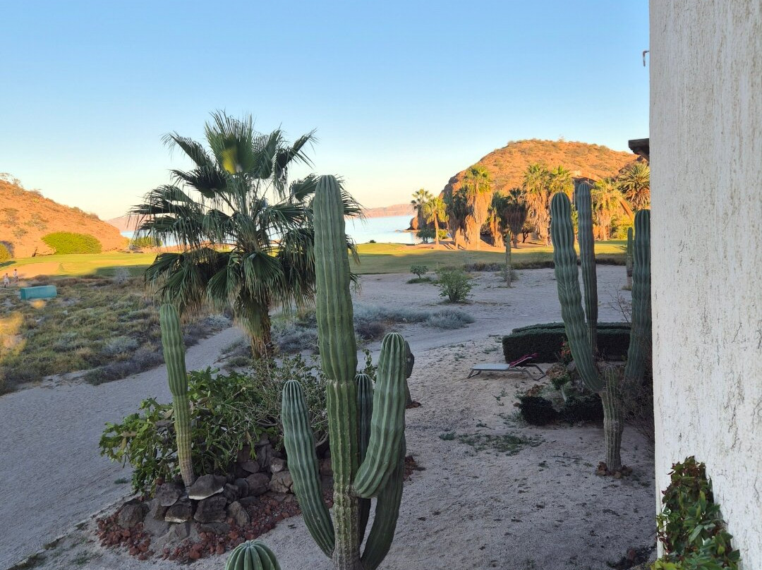 Baja California Travel-拉巴斯必去景点