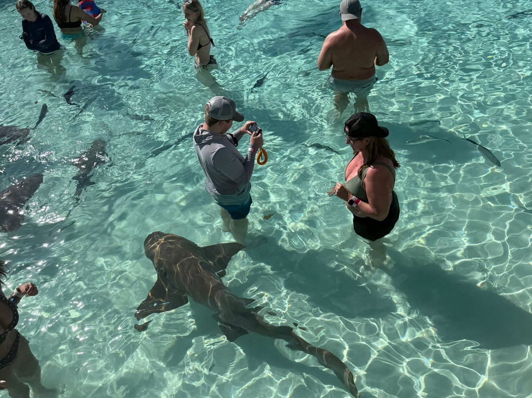 Great Guana Cay Adventures-Little Exuma必去景点