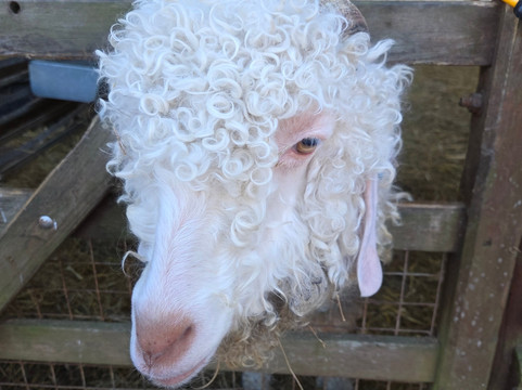 Thrift Farm-Whaddon必去景点