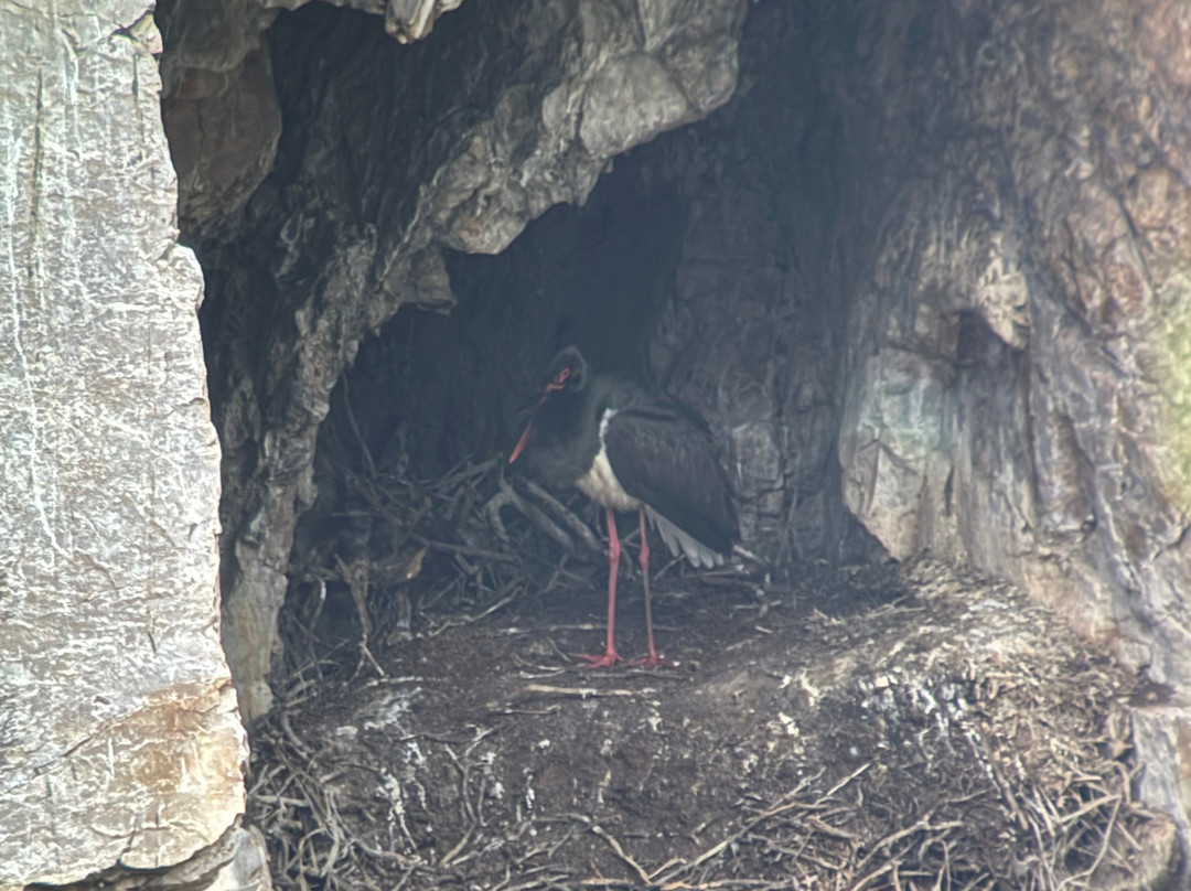 Birding Naturaleza-Plasencia必去景点