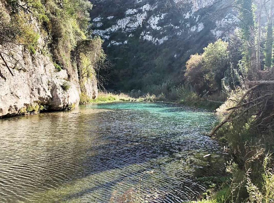 Walk in Nature-Trecastagni必去景点