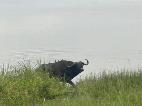 Ikaze Rwanda Tours & Travel-吉佳利必去景点