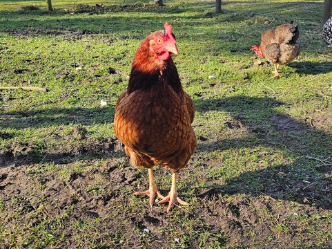 Wee Eden-West Calder必去景点