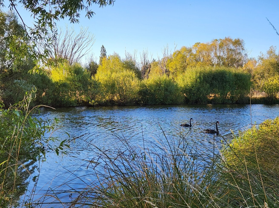 Hot Tubs Omarama-奥马拉马必去景点