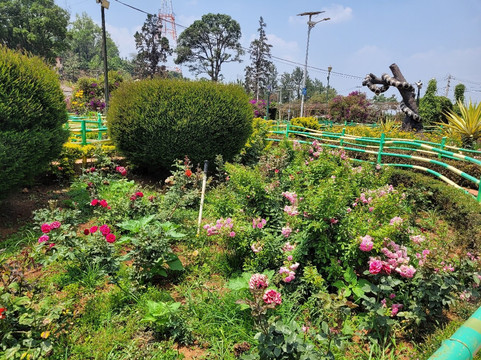 Raja's Seat-马蒂科里必去景点