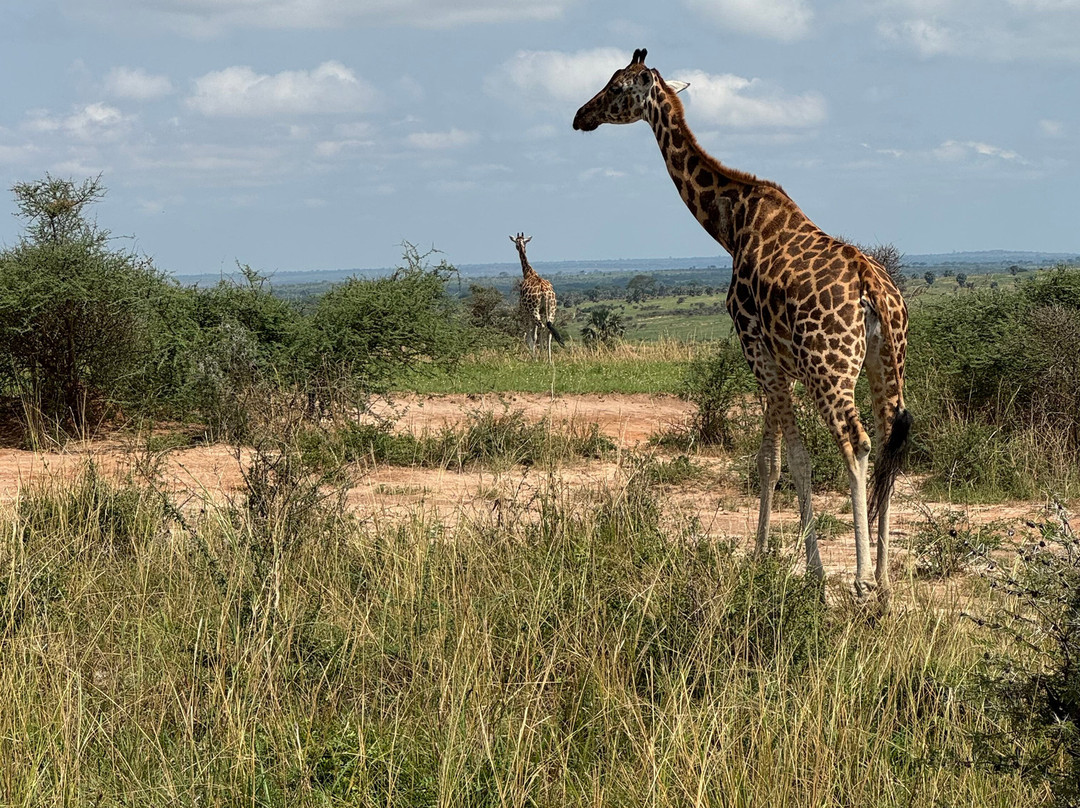Jinja Bike Tours And Safaris-Buikwe必去景点