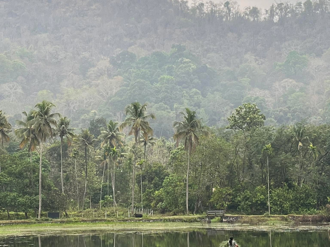 Thattekkadu Bird Sanctuary-Kothamangalam必去景点