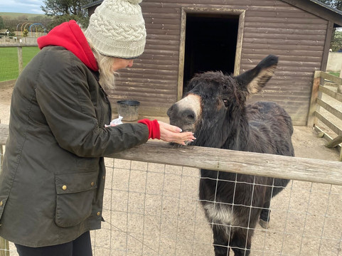 Filey Zoo-Filey必去景点
