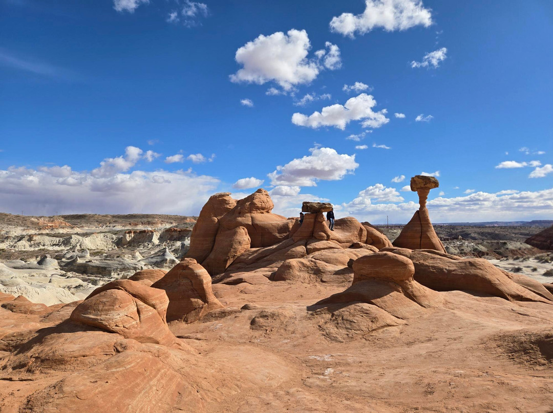 The Toadstools-比格沃特必去景点