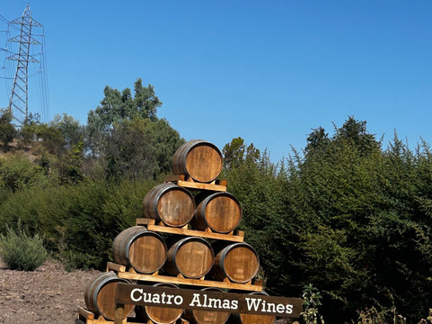 Cuatro Almas Wines-Buin必去景点
