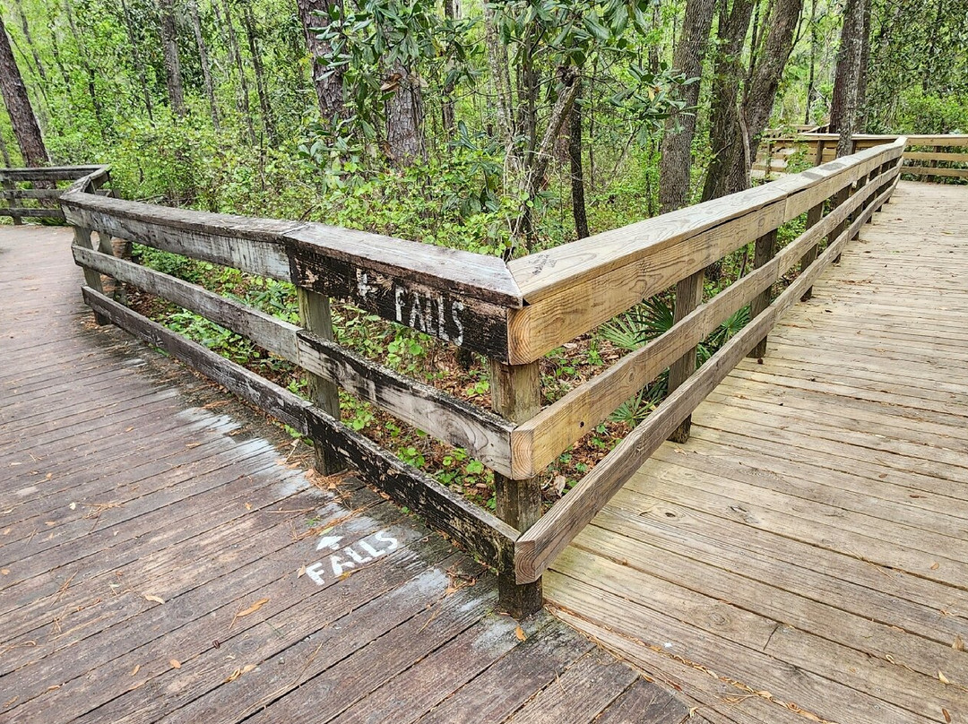 Falling Creek Falls-Lake City必去景点