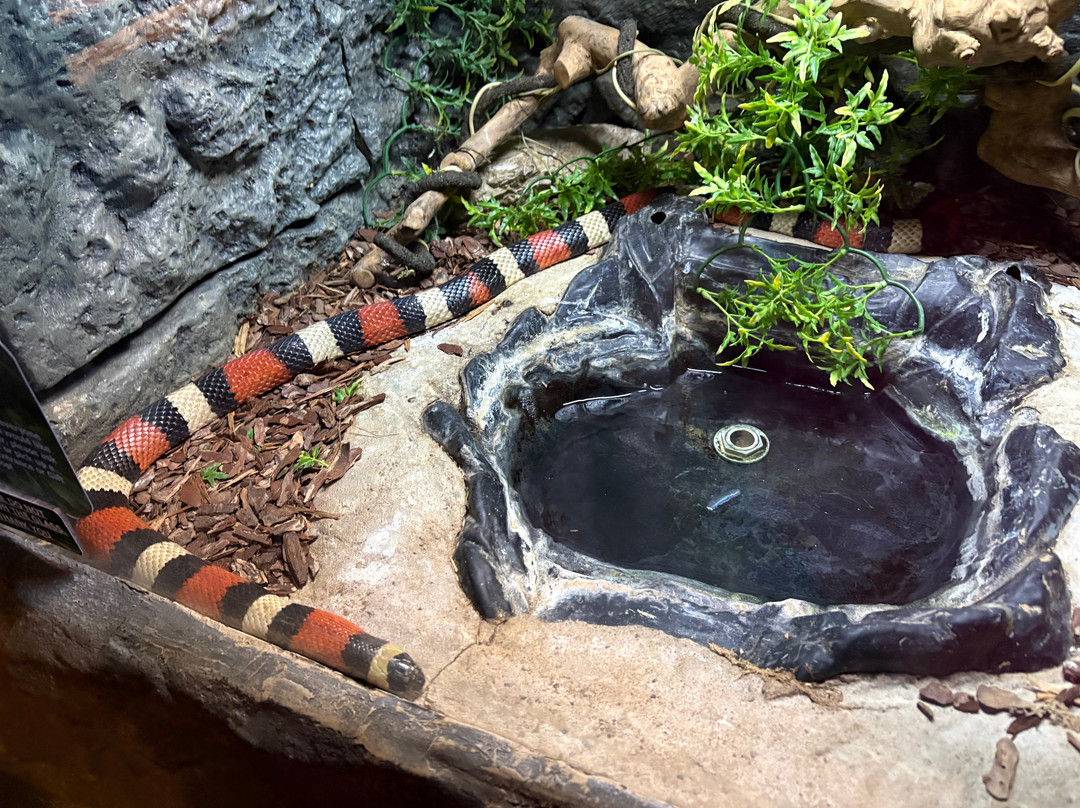 Natureland Seal Sanctuary-斯凯格内斯必去景点