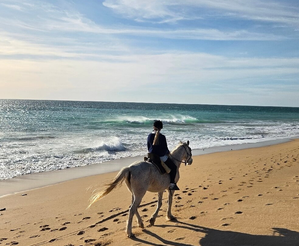 Centro Hipico Zahora-Zahora必去景点