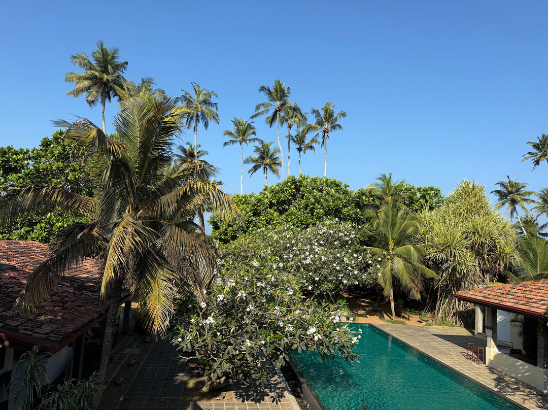 Roman Life Ayurveda Resort主图