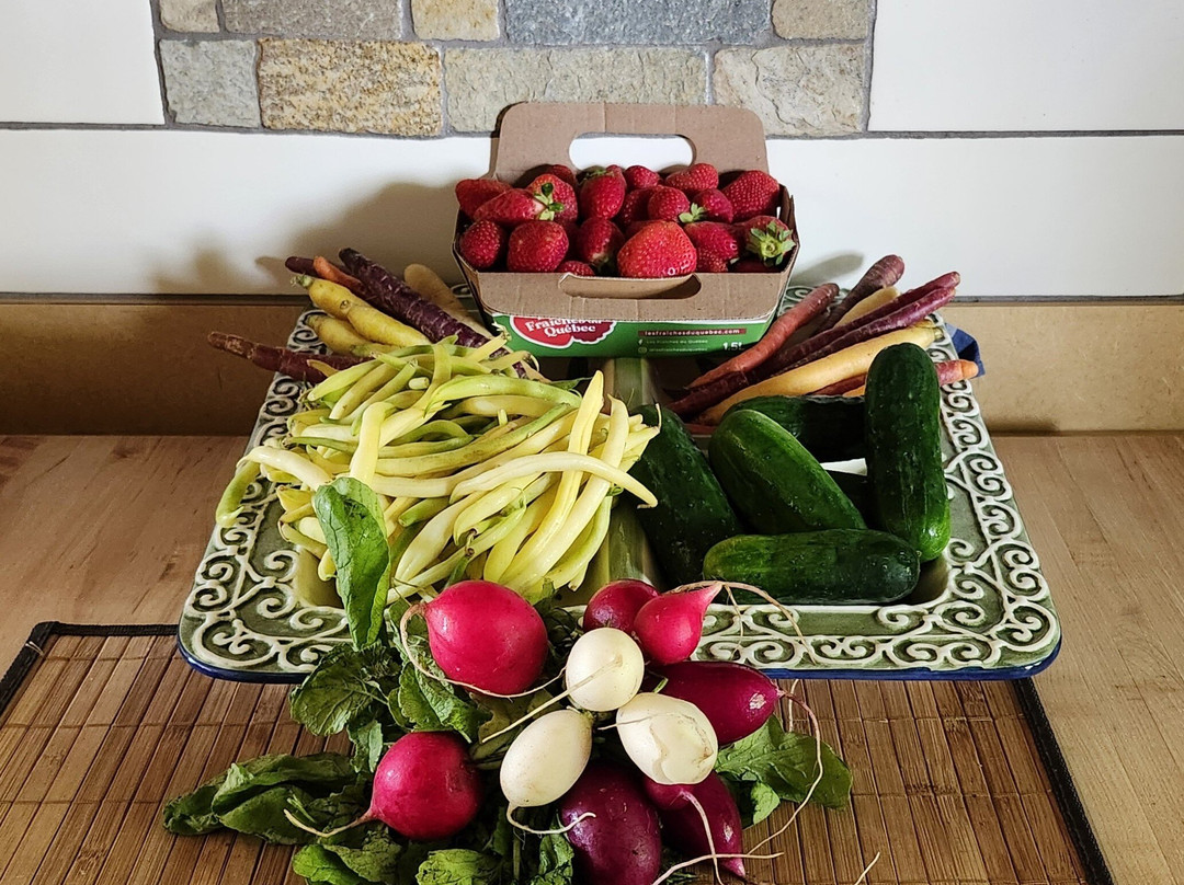 Polyculture Plante-Sainte-Petronille必去景点
