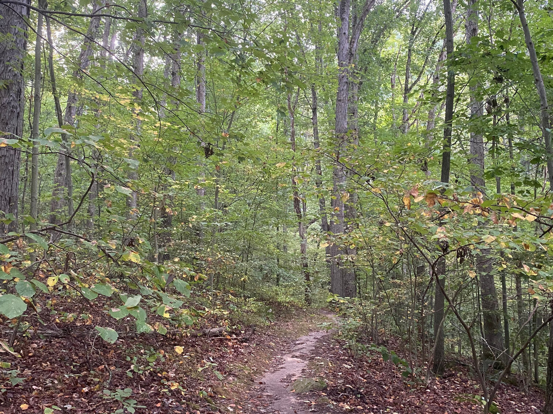 Salt Fork State Park-Cambridge必去景点