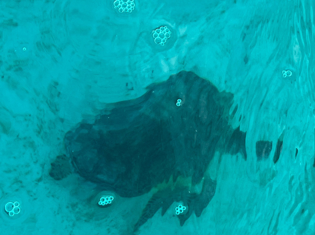 Ilot Gabriel Beach-Ilot Gabriel必去景点