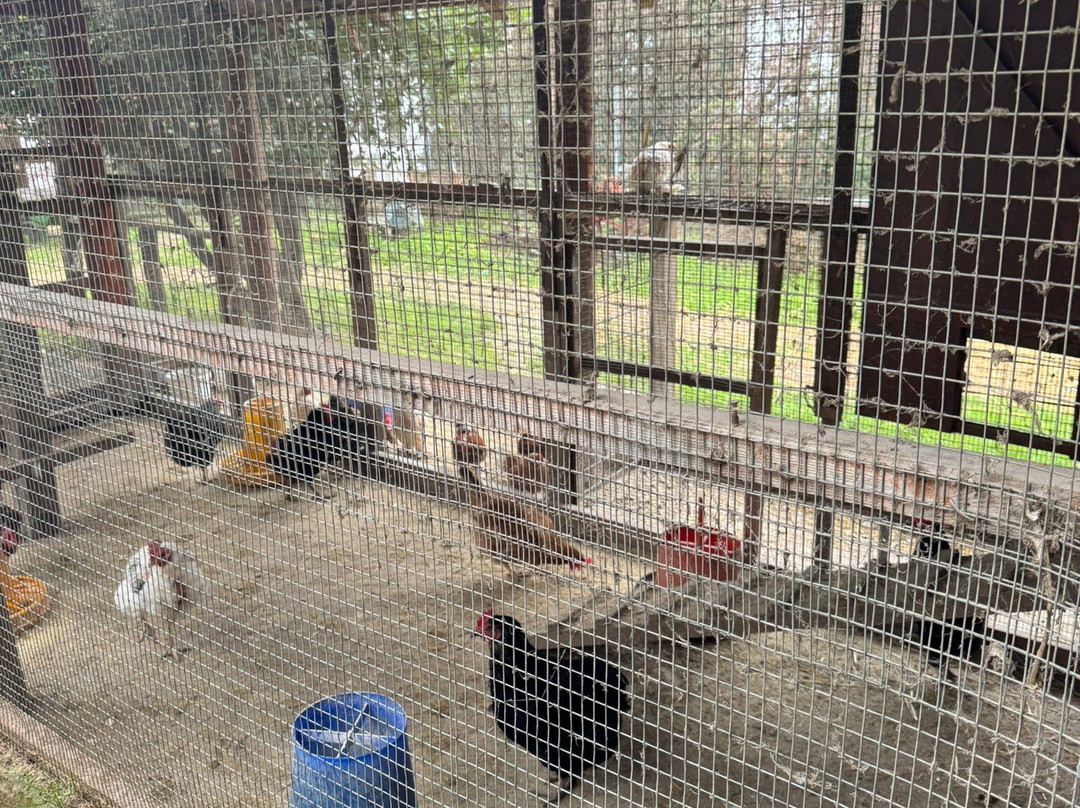 Karaiskos Farm-沃洛斯必去景点