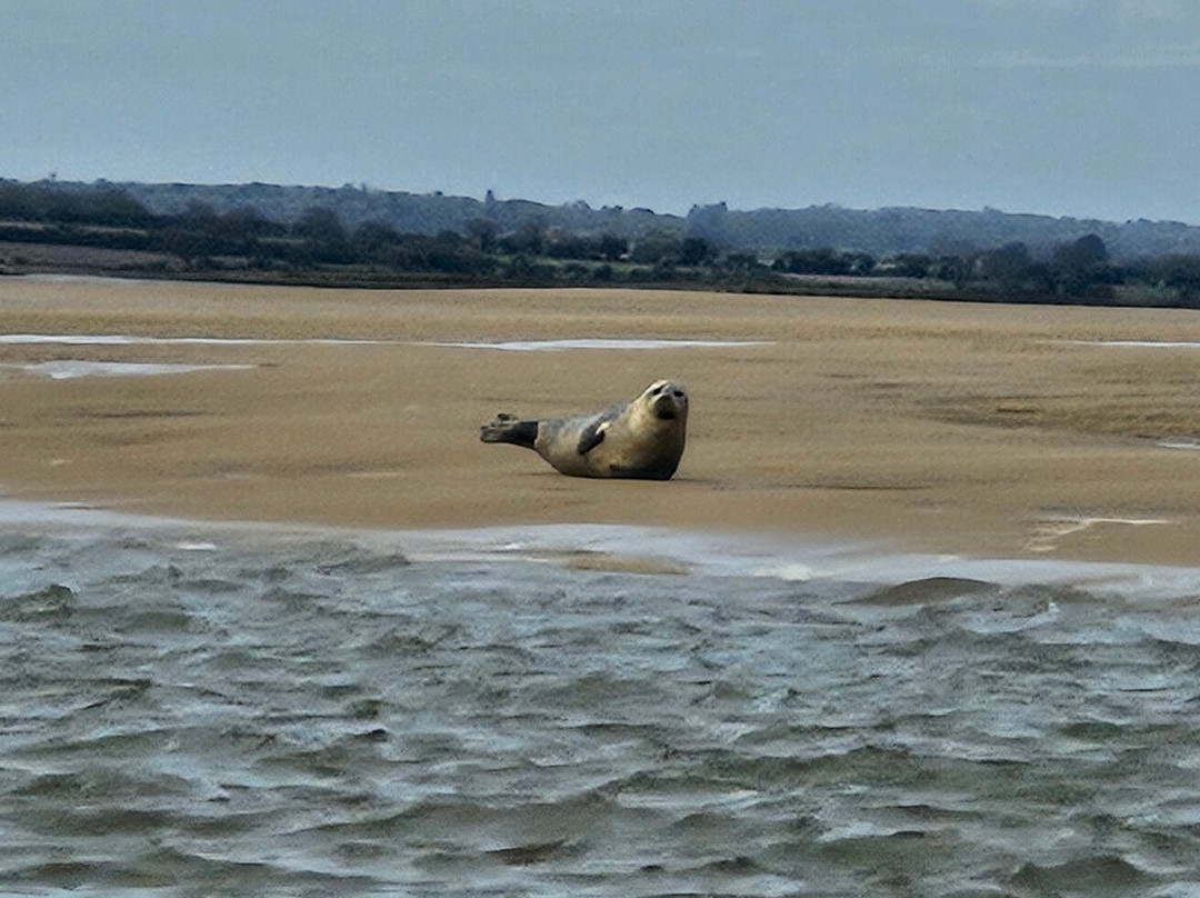 Bishops Boats Seal Trips-布莱克尼必去景点