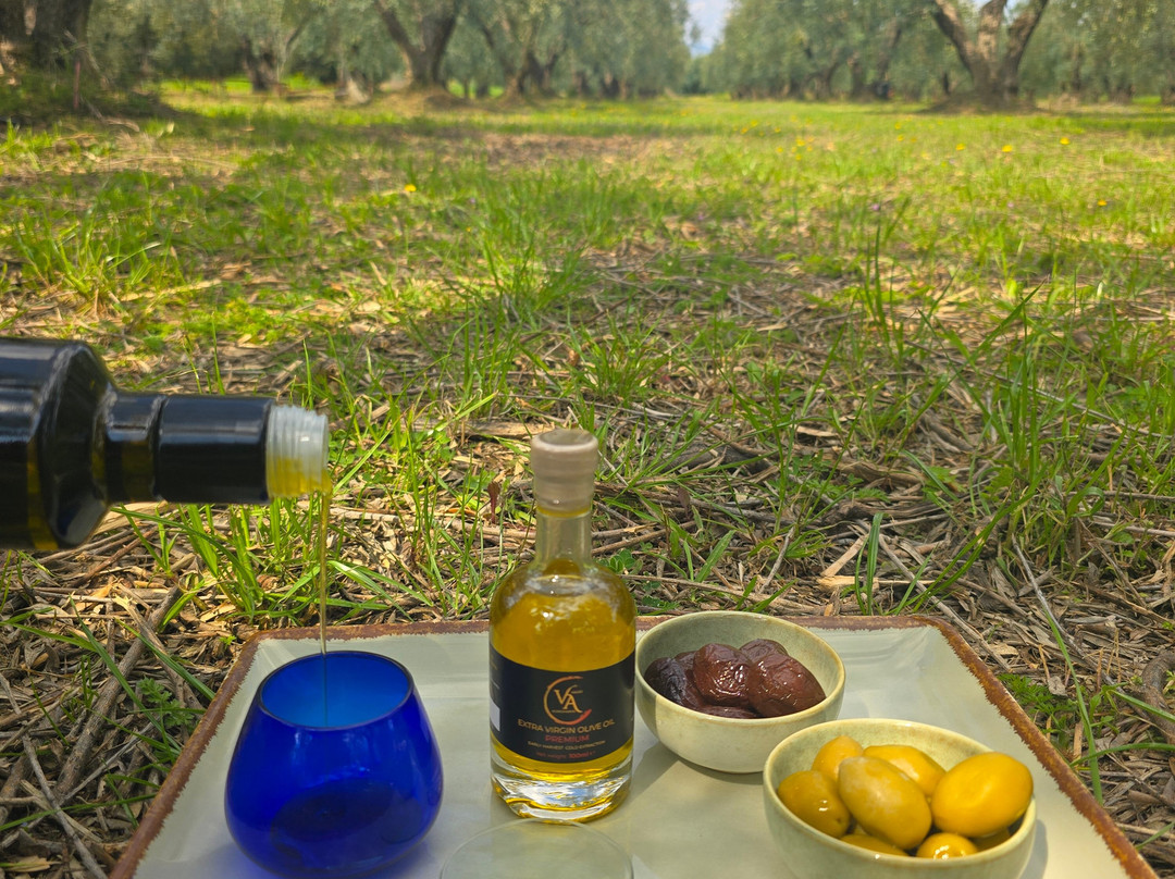 Vagio Agrofarms-Agios Mamas必去景点