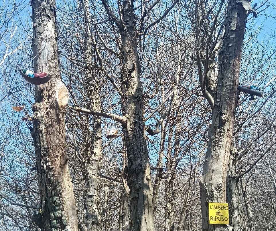 Alpe Mastrolini-Omegna必去景点