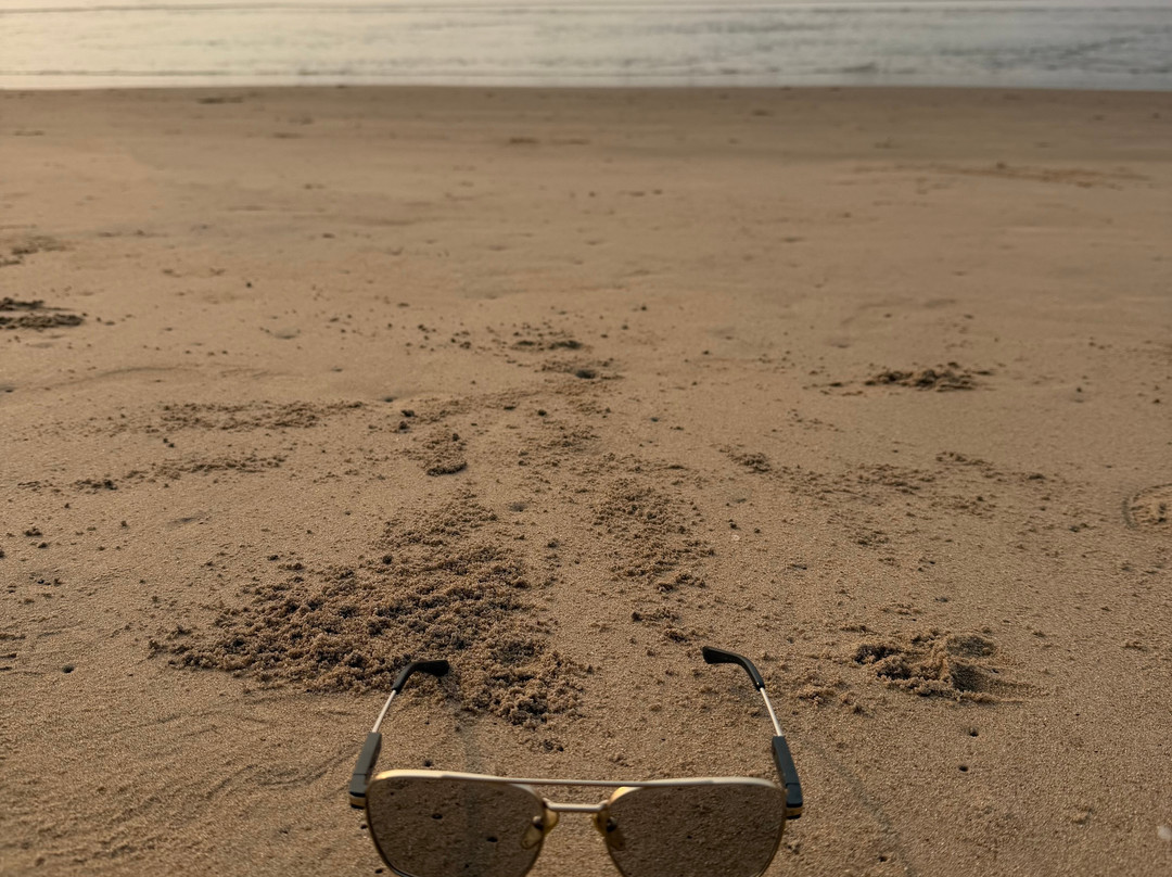 Gopalpur Beach-Ganjam必去景点