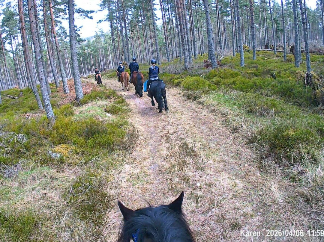 Highlands Unbridled Trail Riding & Trekking Centre-Aboyne必去景点