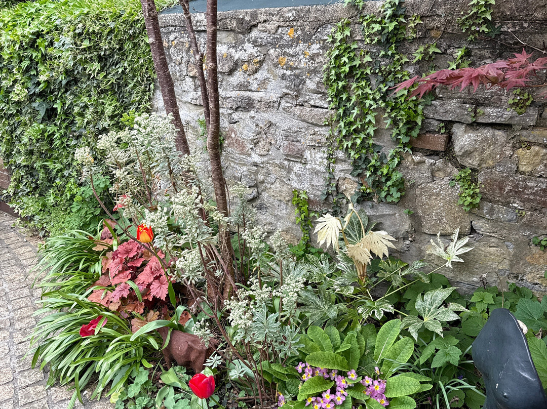 Heart of The Tribe Gallery-格拉斯顿伯里必去景点