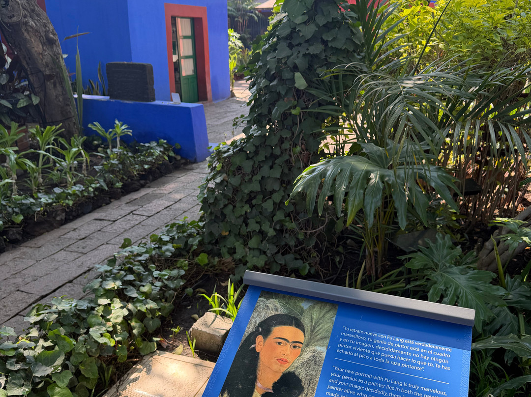 Estigo Tours-墨西哥城必去景点