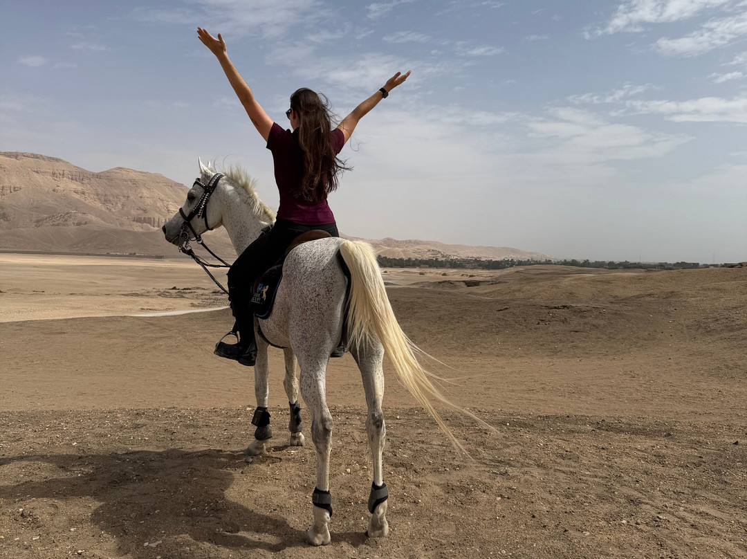 Ride Egypt-赫尔格达必去景点