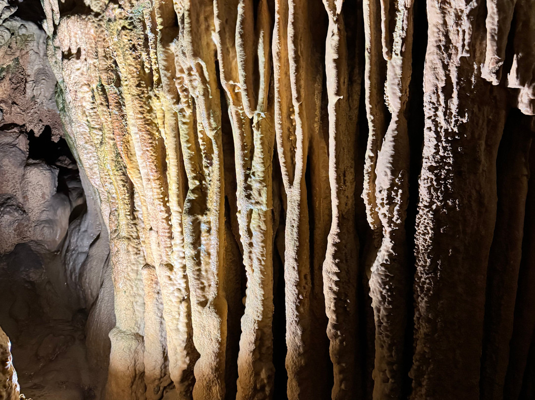 Bristol Caverns-布里斯托尔必去景点