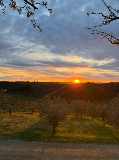 萨尔瓦多妮卡酒店-旅行者