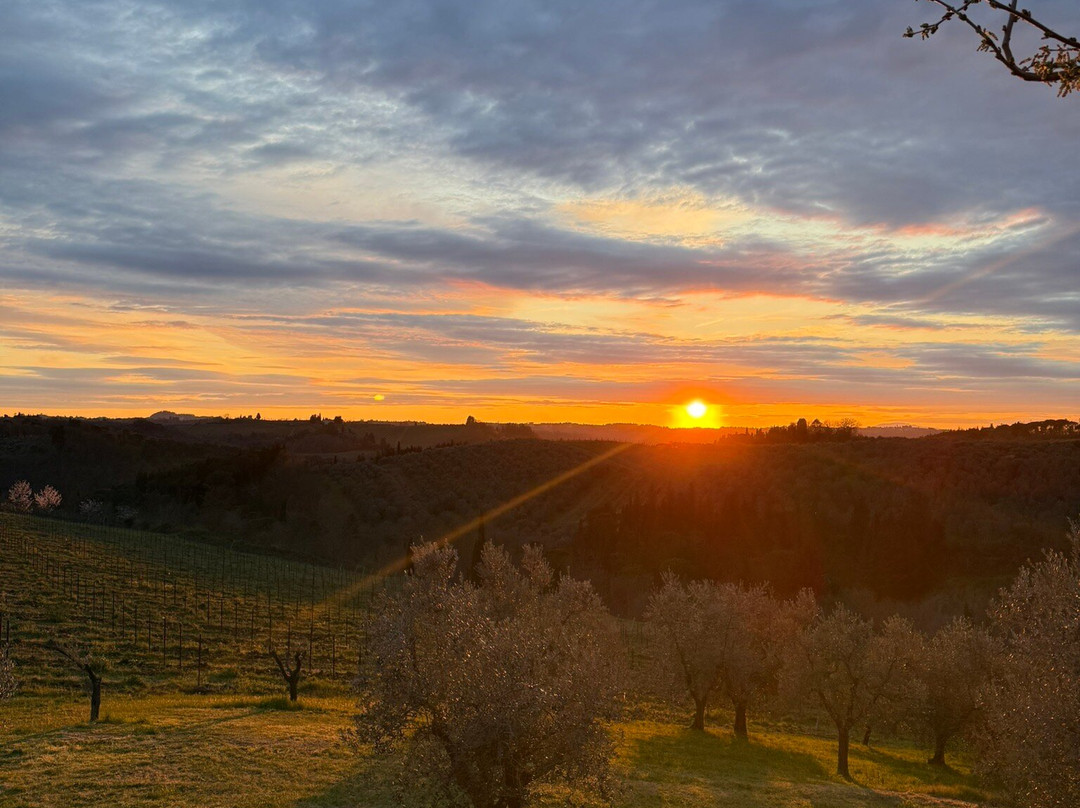 萨尔瓦多妮卡酒店主图