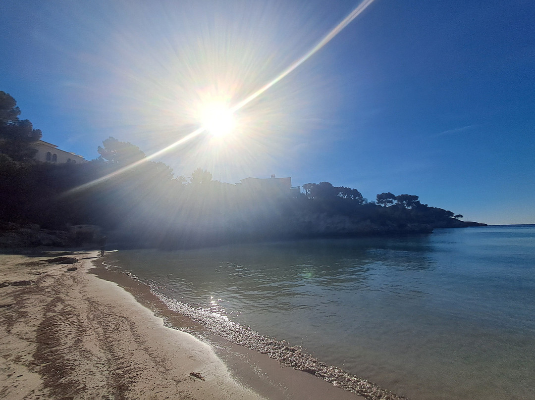 Plage Cala D'or-卡拉多尔必去景点