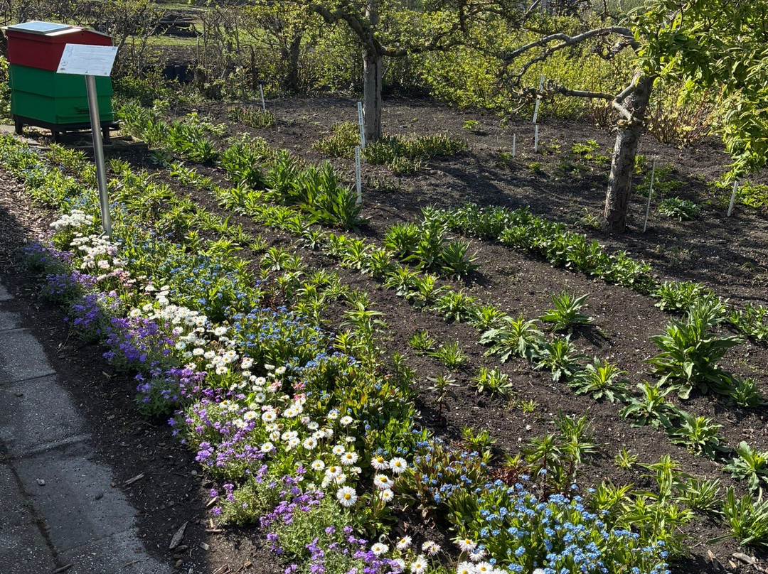 Tuinbouwmuseum Historische Tuin Aalsmeer-Aalsmeer必去景点