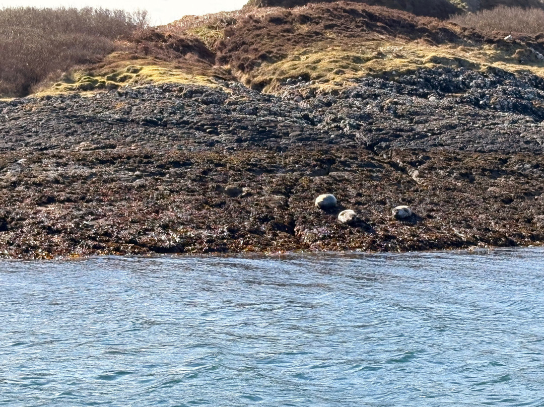 Argyll-Sea Tours-奥本必去景点
