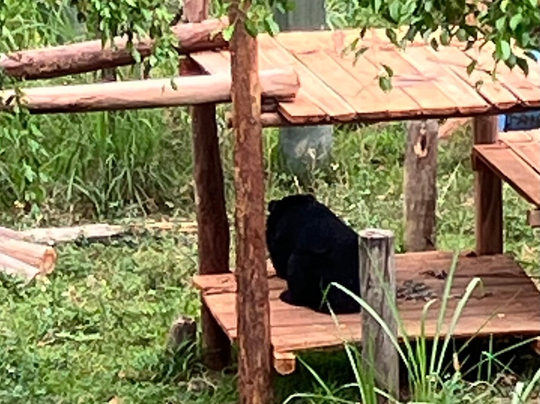 Bear Sanctuary Ninh Binh-宁平必去景点