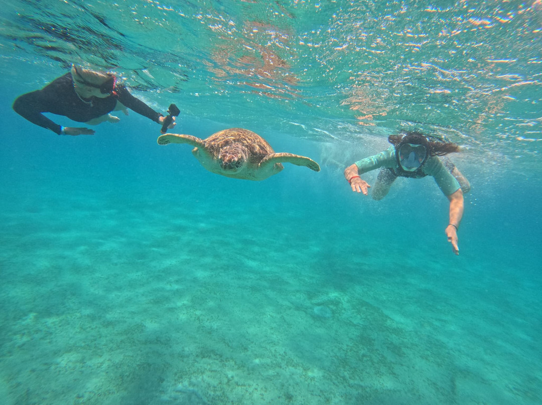 ÄGYPTEN - VIP unvergessliche exclusive Ausflüge mit FARA & HAMADA-Pfungen必去景点