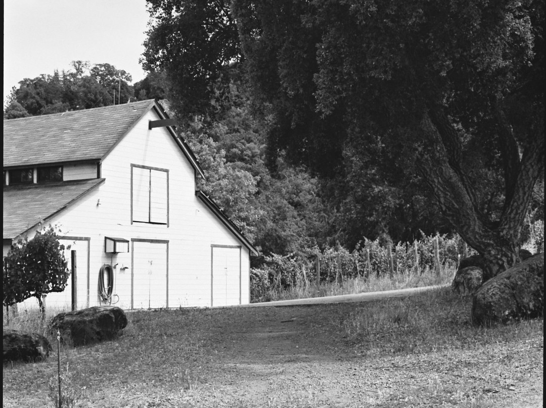 Alta Orsa Winery