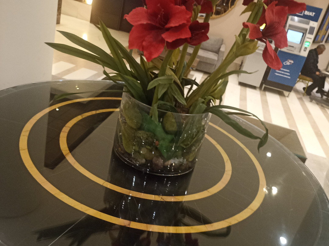 埃尔安达卢斯迪亚尔伊贝罗斯塔选择酒店主图