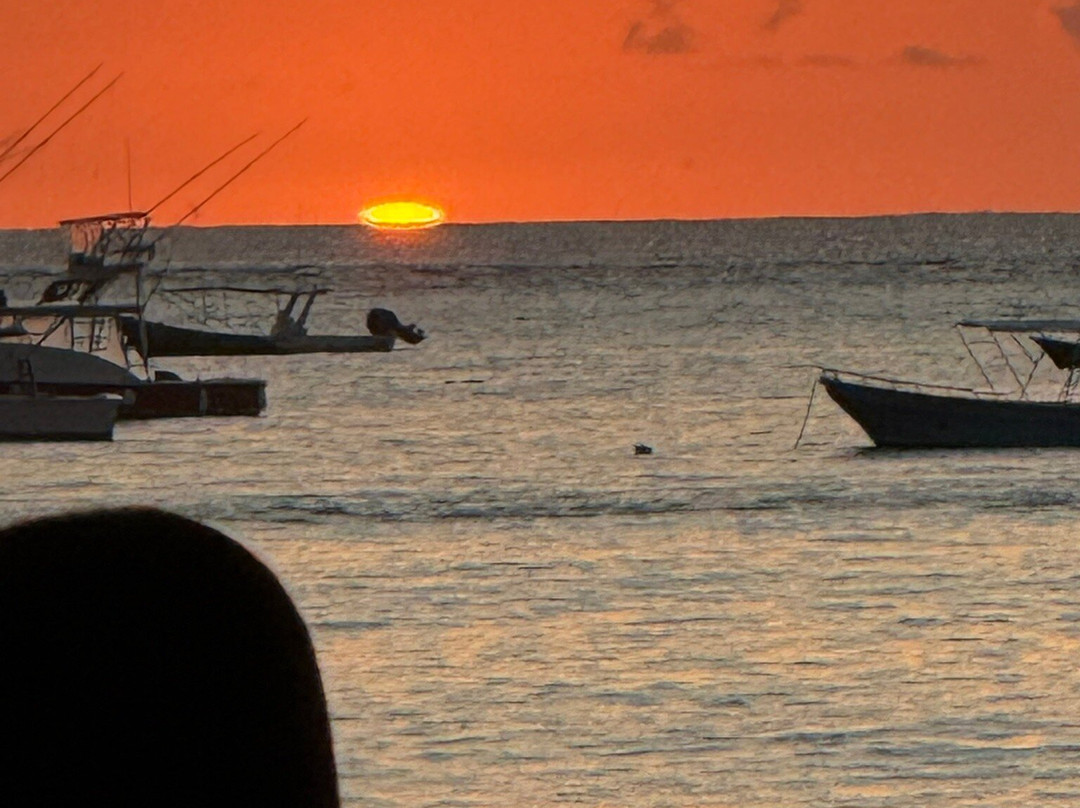 Matt's Fishing & Tours-萨迪纳尔必去景点