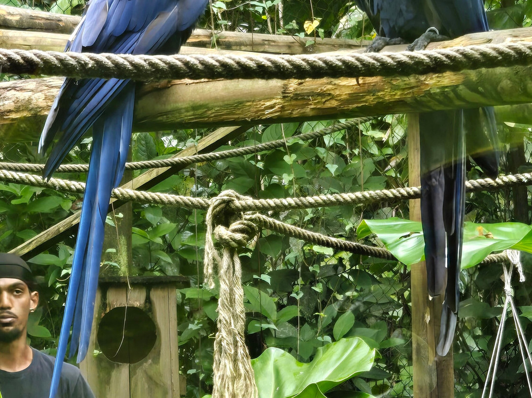 Zoo De Guadeloupe Au Parc Des Mamelles-Bouillante必去景点