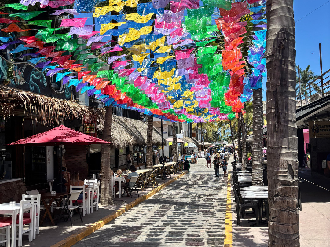 Vallarta Food Tours-瓦拉塔港必去景点