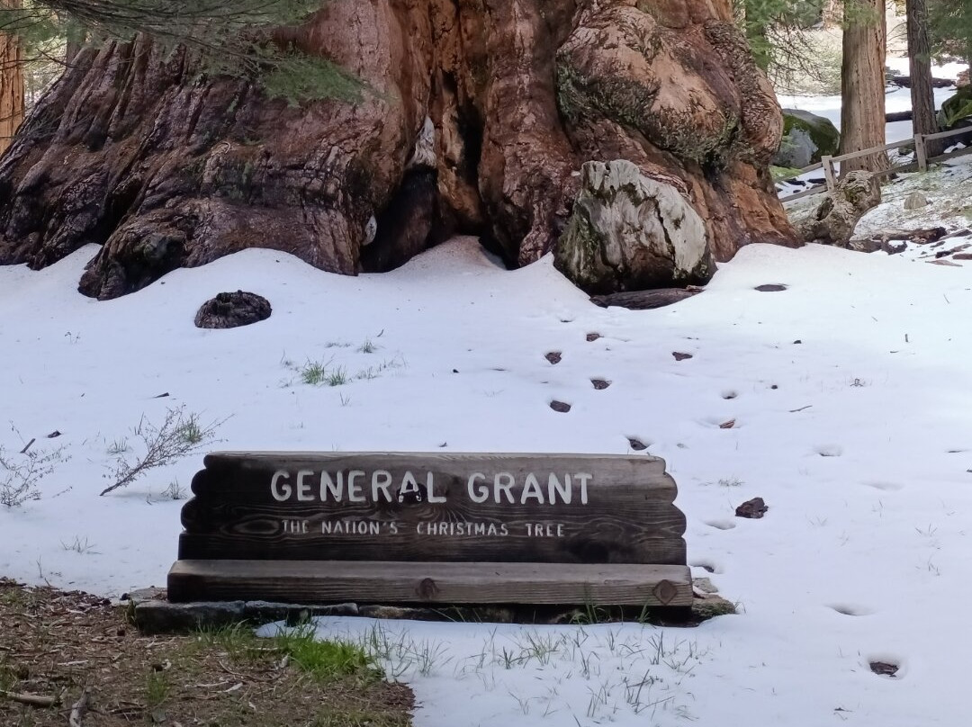 Sequoia National Park-维塞利亚必去景点