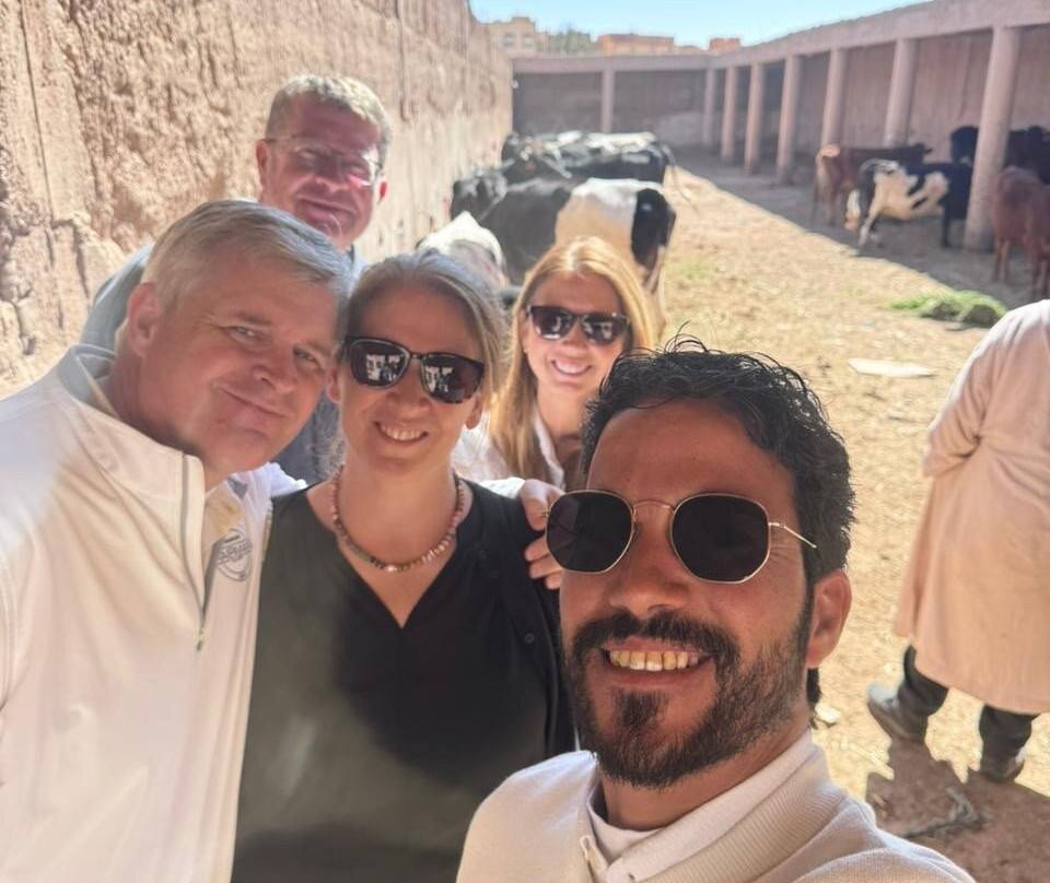 Morocco DailyXplore Tours-卡萨布兰卡必去景点
