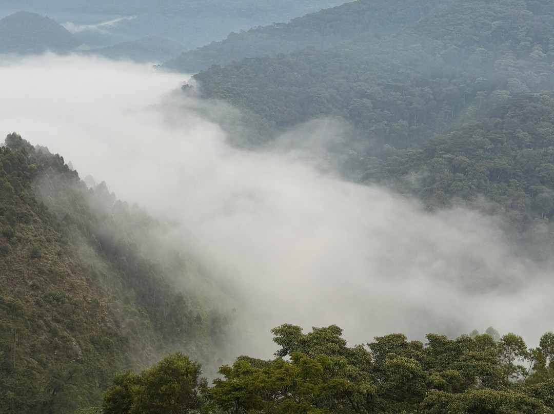 Native Africa Tours-坎帕拉必去景点